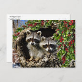 「ホリーベリーツイン」 ポストカード (正面/裏面)