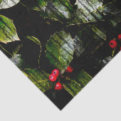 ホリーベリー水平ティッシュペーパー 薄葉紙 (詳細)