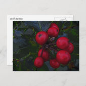 ホリーベリー葉書 ポストカード (正面/裏面)