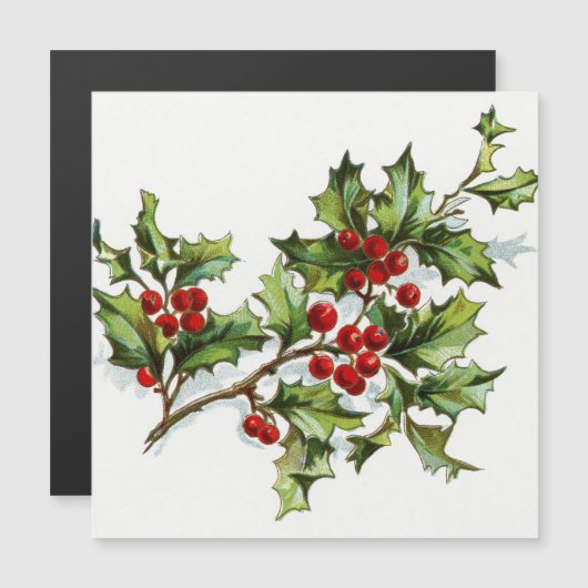 ホリーベリー001 (正面/裏面)