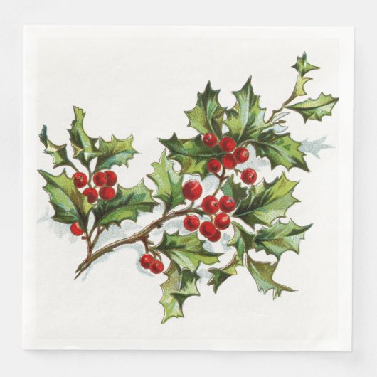 ホリーベリー001 (正面)