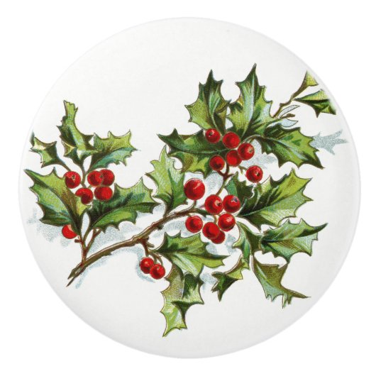 ホリーベリー001 セラミックノブ (正面)