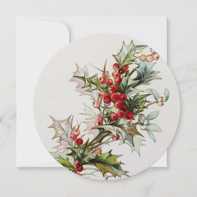 ホリーベリー003 (正面)