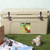 ホリーベリー005 シール (クーラー)