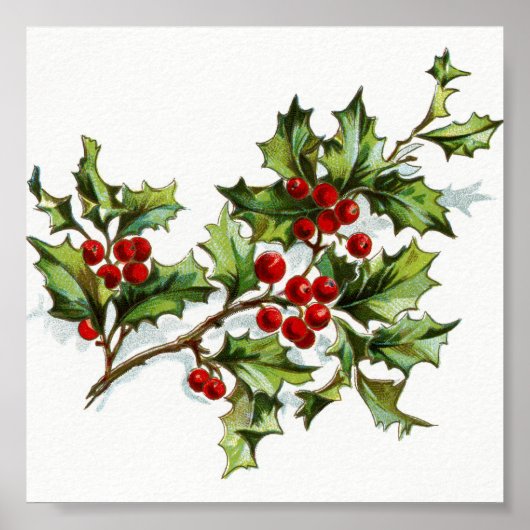 ホリーベリー20150801 ポスター (正面)