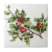 ホリーベリー20150802 タイル (正面)