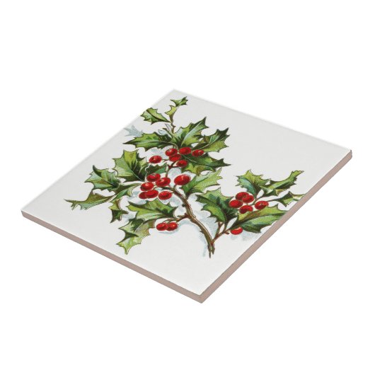 ホリーベリー20150802 タイル (側面)