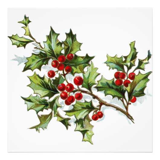 ホリーベリー20150802 フォトプリント            (正面)