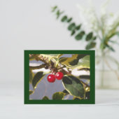 ホリーベリー ポストカード (スタンド正面)