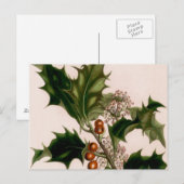 ホリーベリー ポストカード (正面/裏面)