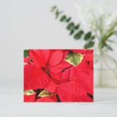 ホリーポイントポインセティアスクリスマスホリデーフローラ シーズンポストカード (スタンド正面)