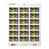 ホリーリーフとベリーオーナメントギフトラベル ラベル (フルシート)