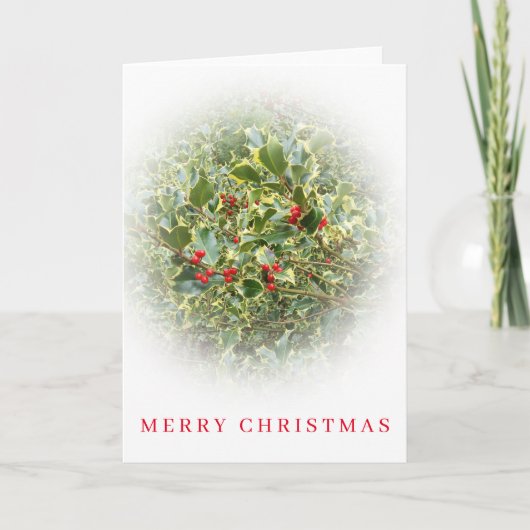 ホリー低木ビュークリスマスカード シーズンカード (正面)