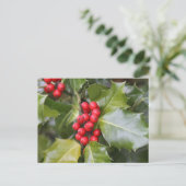 ホリー写真 ポストカード (スタンド正面)