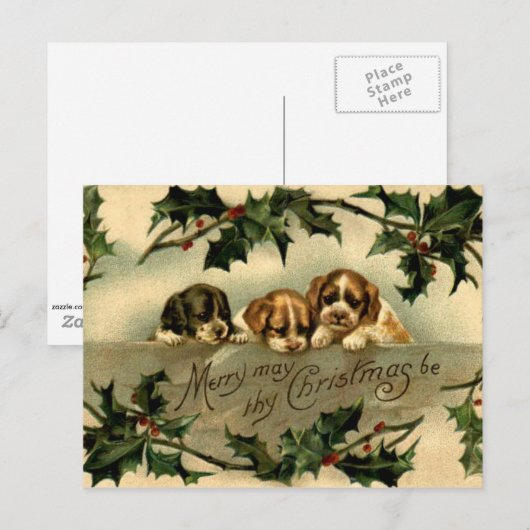 ホリー子犬 ポストカード (正面/裏面)