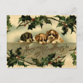 ホリー子犬 ポストカード (正面)