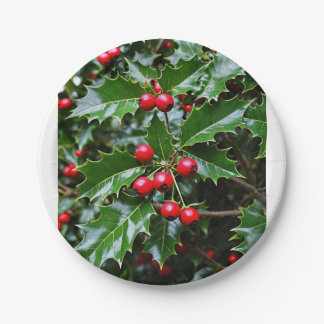 ホリー紙プレート ペーパープレート