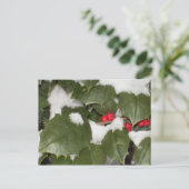 ホリー葉書 ポストカード (スタンド正面)