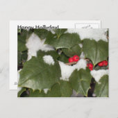 ホリー葉書 ポストカード (正面/裏面)