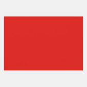 ホリー赤と常緑冬の固体 ラッピングペーパーシート (正面)