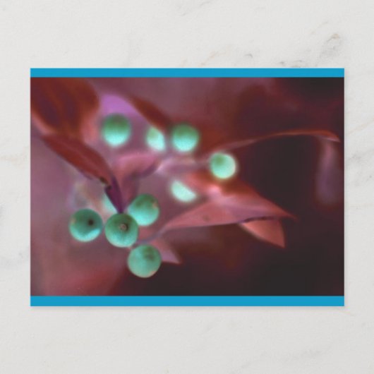 ホリー シーズンポストカード (正面)