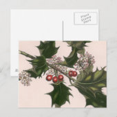 ホリー・バーリー ポストカード (正面/裏面)