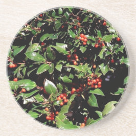 ホリー&ベリーコースター コースター