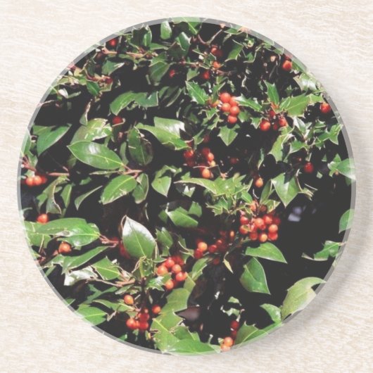 ホリー&ベリーコースター コースター (正面)