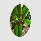 ホリ葉ー自然IIホリデイ植物学 オーナメント (正面)