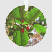 ホリ葉ー自然IIホリデイ植物学 オーナメント (裏面)