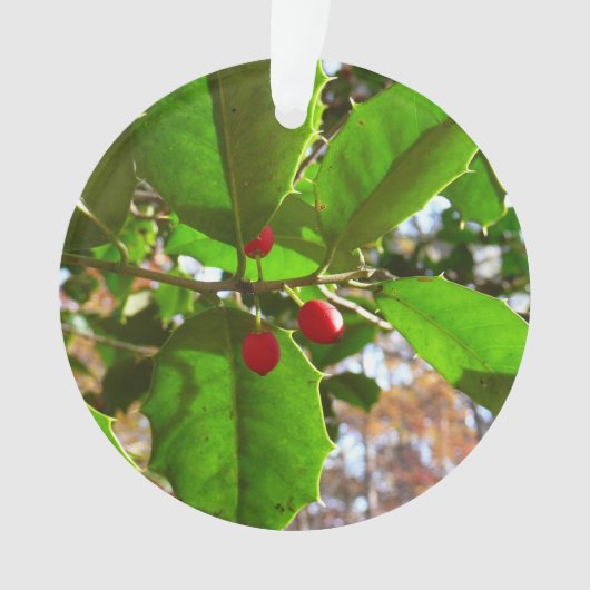 ホリ葉ー自然IIホリデイ植物学 オーナメント (正面)
