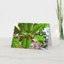 ホリ葉ー自然IIホリデイ植物学