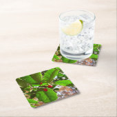 ホリ葉ー自然IIホリデイ植物学 スクエアペーパーコースター (インサイチュ)