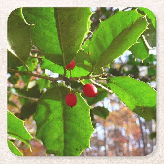 ホリ葉ー自然IIホリデイ植物学 スクエアペーパーコースター (正面)