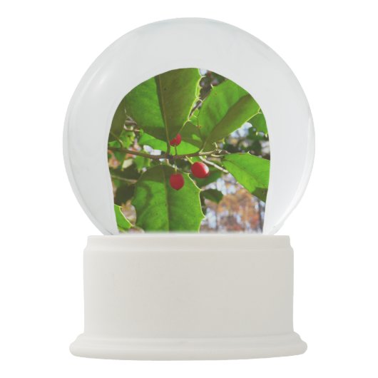 ホリ葉ー自然IIホリデイ植物学 スノーグローブ (正面)