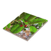 ホリ葉ー自然IIホリデイ植物学 タイル (側面)