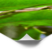 ホリ葉ー自然IIホリデイ植物学 ポスター (コーナー)