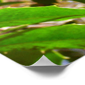 ホリ葉ー自然IIホリデイ植物学 ポスター (角)