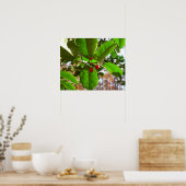 ホリ葉ー自然IIホリデイ植物学 ポスター (キッチン)