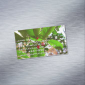 ホリ葉ー自然IIホリデイ植物学 マグネット名刺 (インサイチュ)