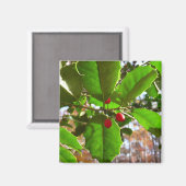 ホリ葉ー自然IIホリデイ植物学 マグネット (正面/裏面)