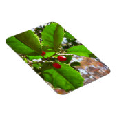 ホリ葉ー自然IIホリデイ植物学 マグネット (右側)