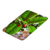 ホリ葉ー自然IIホリデイ植物学 マグネット (左側)