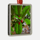 ホリ葉ー自然IIホリデイ植物学 メタルオーナメント (右)
