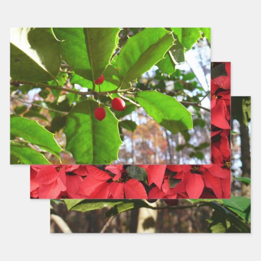 ホリ葉ー自然IIホリデイ植物学 ラッピングペーパーシート (セット)