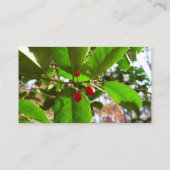 ホリ葉ー自然IIホリデイ植物学 名刺 (裏面)