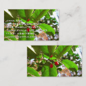 ホリ葉ー自然IIホリデイ植物学 名刺 (正面/裏面)