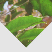 ホリ葉ー自然IIホリデイ植物学 薄葉紙 (詳細)