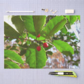 ホリ葉ー自然IIホリデイ植物学 薄葉紙 (クラフト)