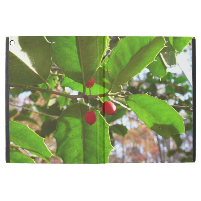 ホリ葉ー自然IIホリデイ植物学 iPad PRO 12.9" ケース (外部)